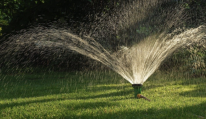 Stop Overwatering The Lawn